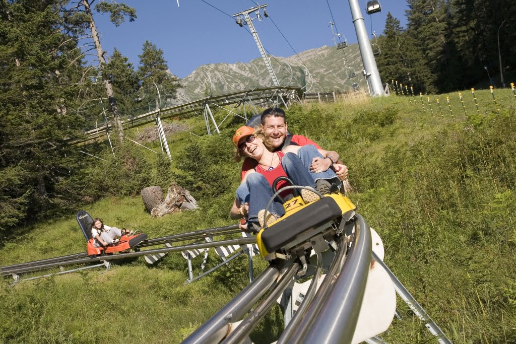 Sanie de vara in Poiana Brasov