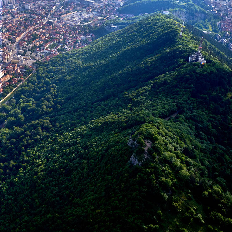 Parcuri și biodiversitate